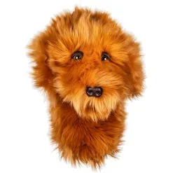 Daphne's Headcovers Daphnes Headcover - Doodle Dog